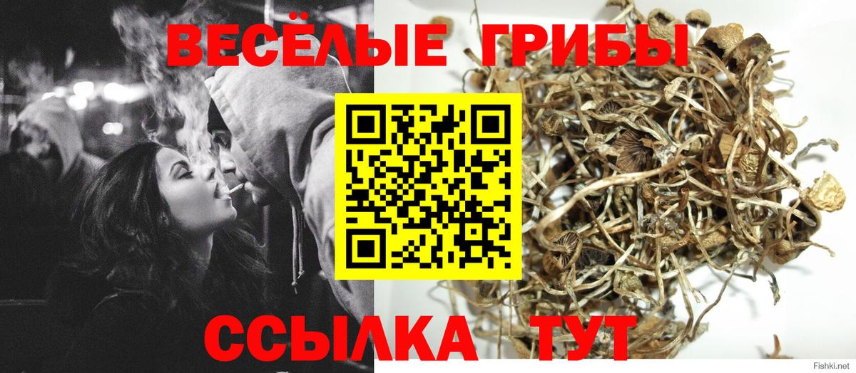 Галлюциногенные грибы прущие грибы Кольчугино
