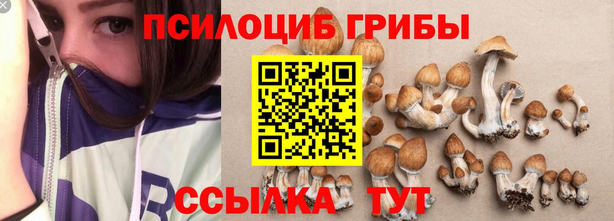 Псилоцибиновые грибы ЛСД  Вход с VPN  Кольчугино 